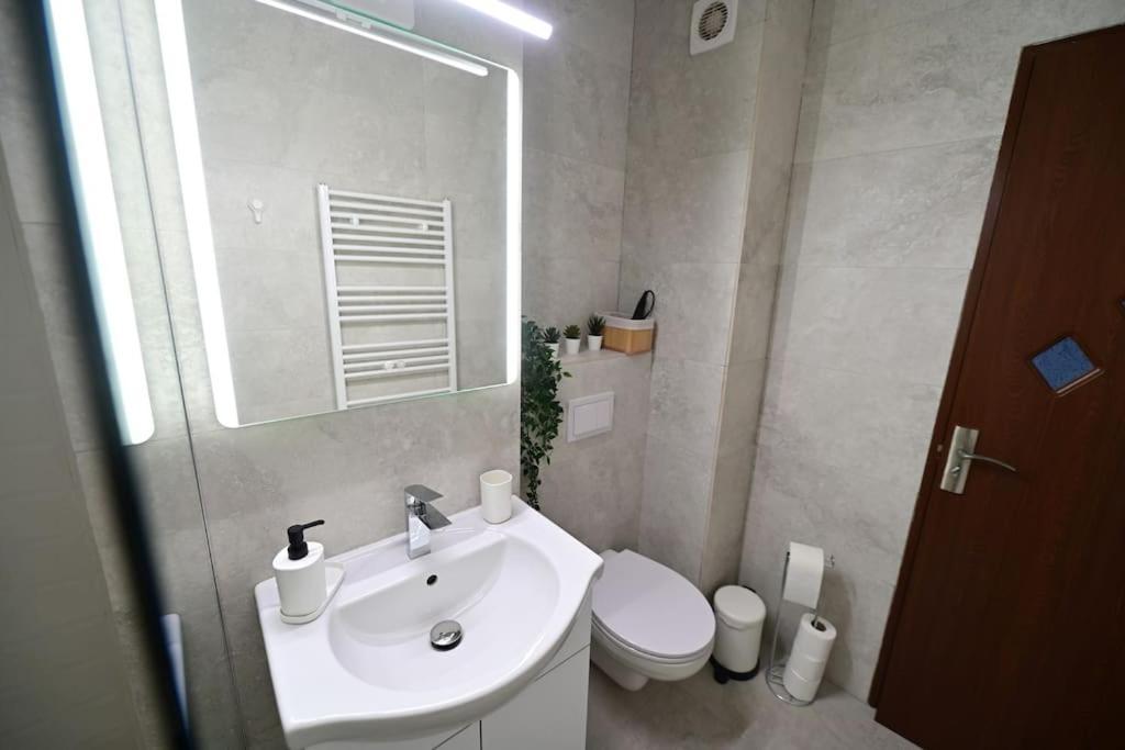 Flh - Apartament Damar Sibiu Dış mekan fotoğraf