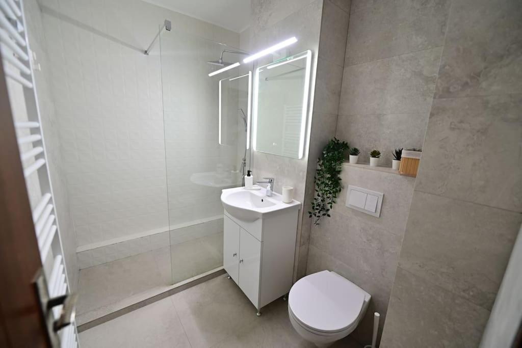 Flh - Apartament Damar Sibiu Dış mekan fotoğraf