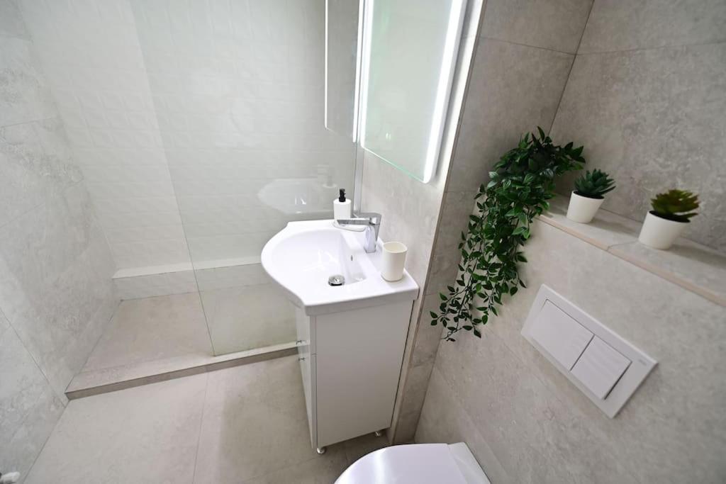 Flh - Apartament Damar Sibiu Dış mekan fotoğraf